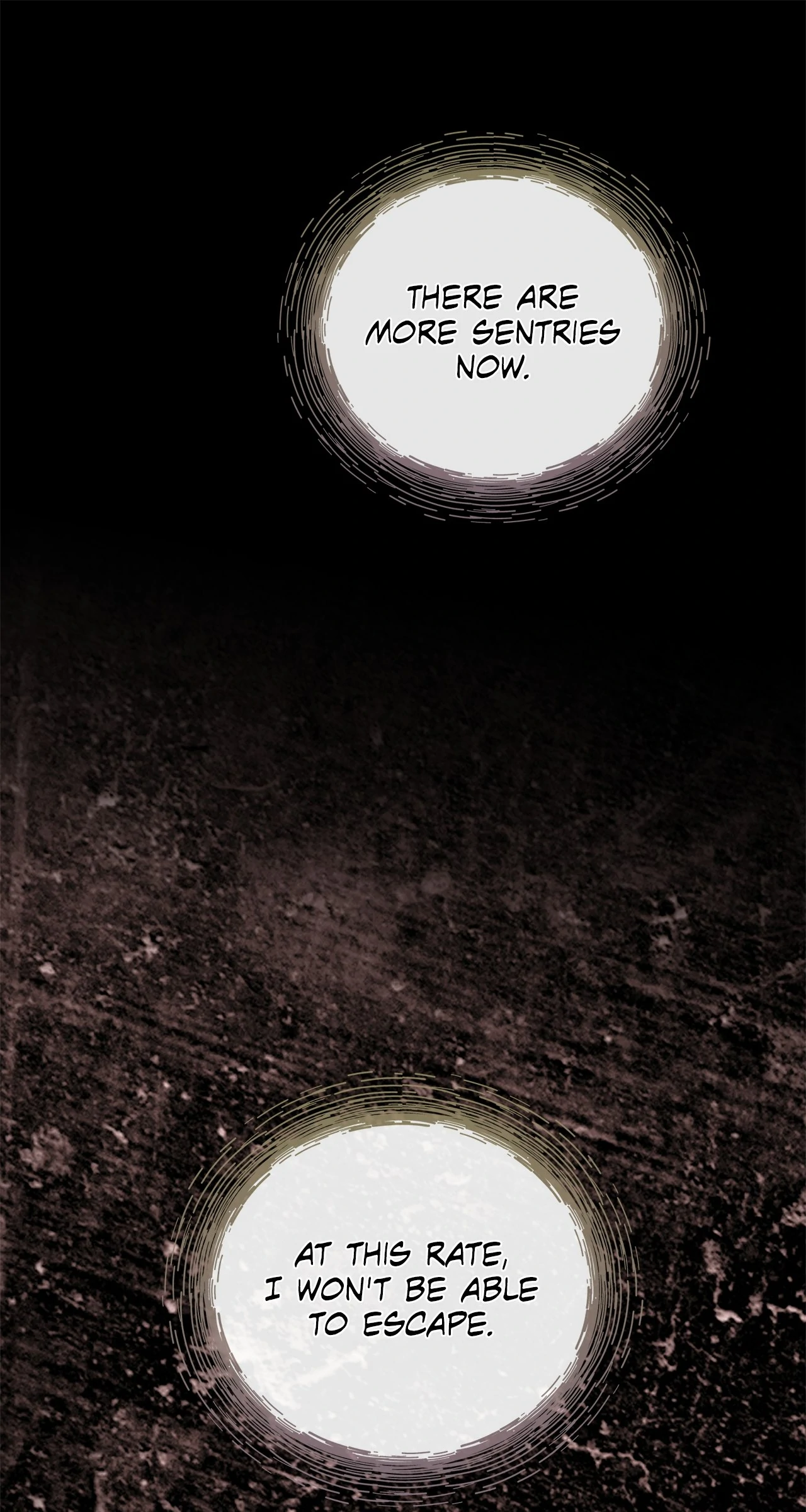 88973860 1280 2400 310876